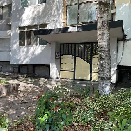 Sunny Seaside Retreat In アパート